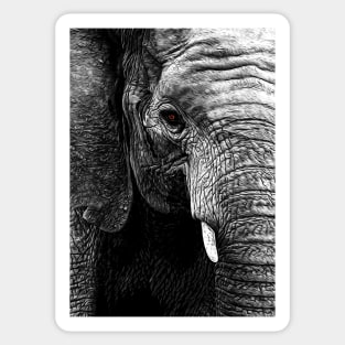 Elephant Sticker